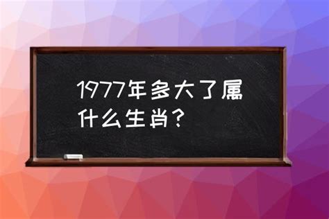 1977属什么